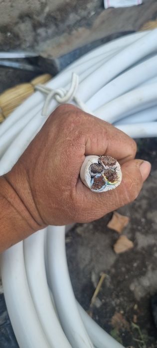 Kabel  3*1.5….3*2.5. Mis меднийь Pro cab Uz kabel