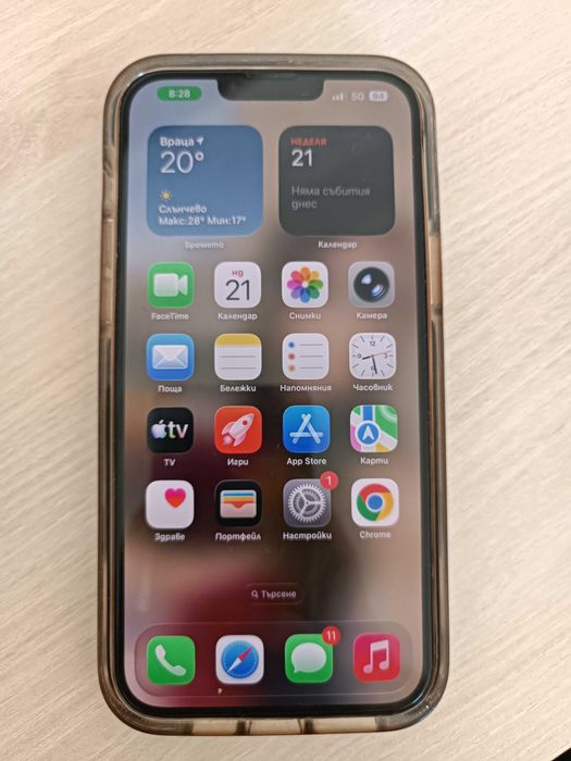 iPhone 13 Pro Max