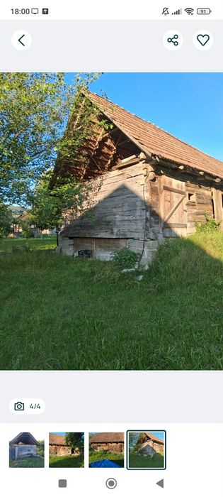 Vând sura de sterjar