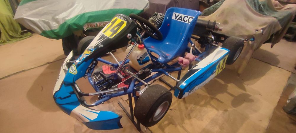 Спортивный картинг