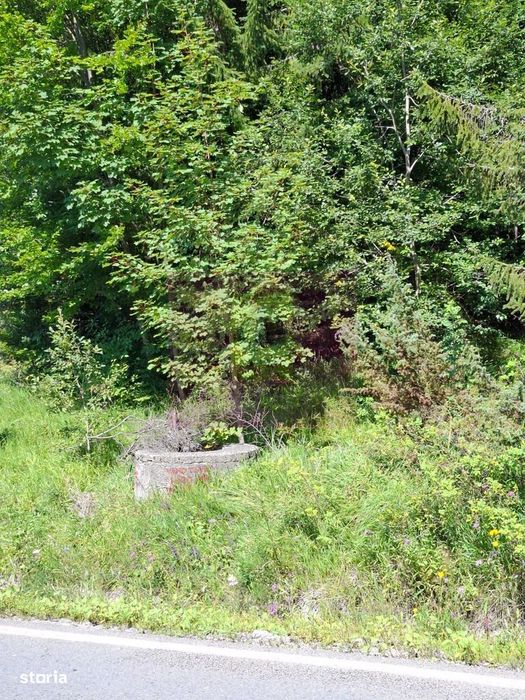 Teren de vânzare în zona Cota 1000 – Sinaia