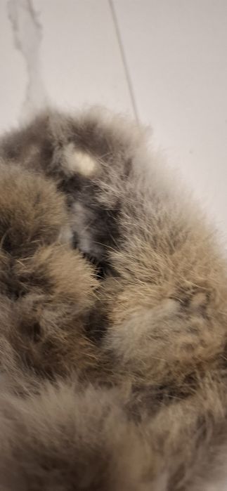 Естествена кожа боти New Italia Shoes, бежови!