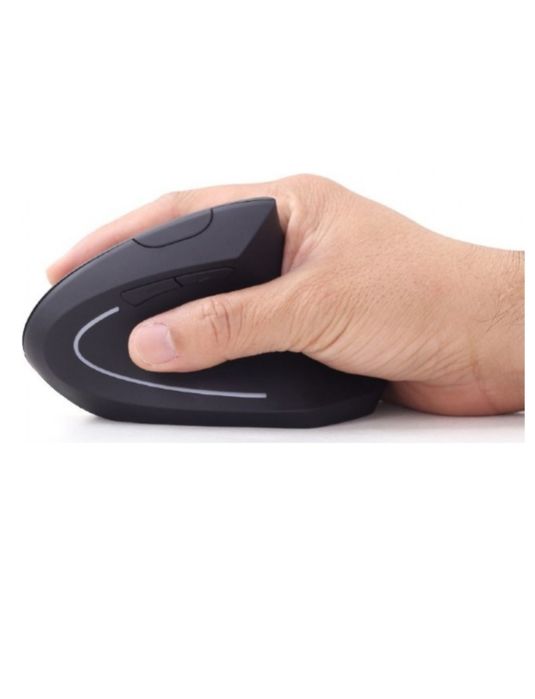 Мышь мышка мышку