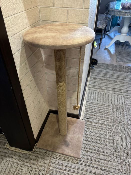 Продам когти точку для кошек