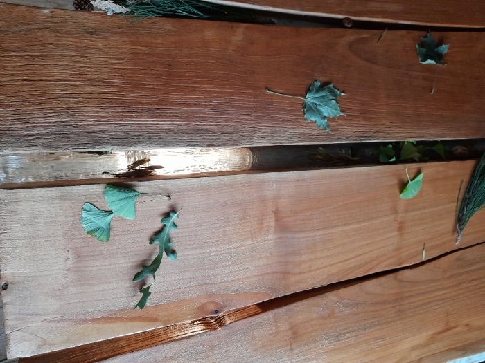 Талпи, плотове за маси: орех дъб акация гледичия за заливане със смола