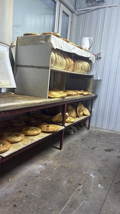 Қатқан нан малға Ауылға мищекпен