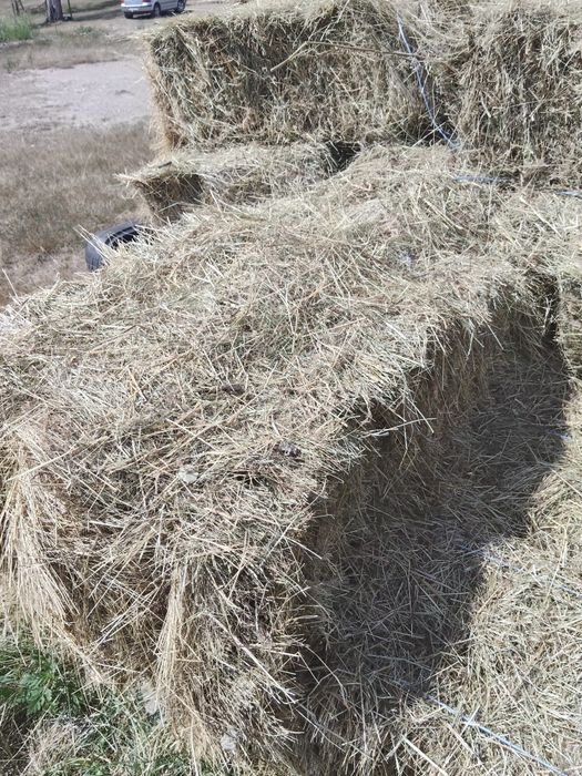 Vând baloți de fân 15lei balot