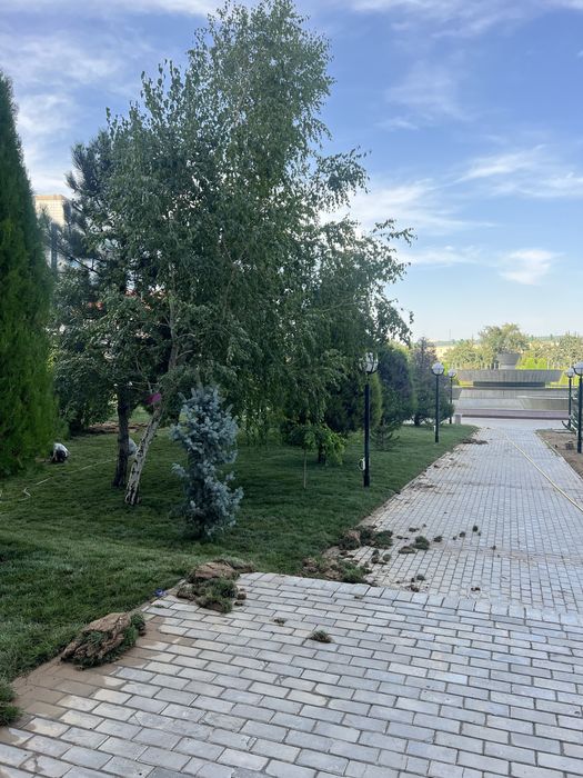 Gazo’n ornatish hizmati ishimizga garantiya beramiza