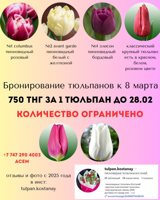 пионовидные тюльпаны Костанай