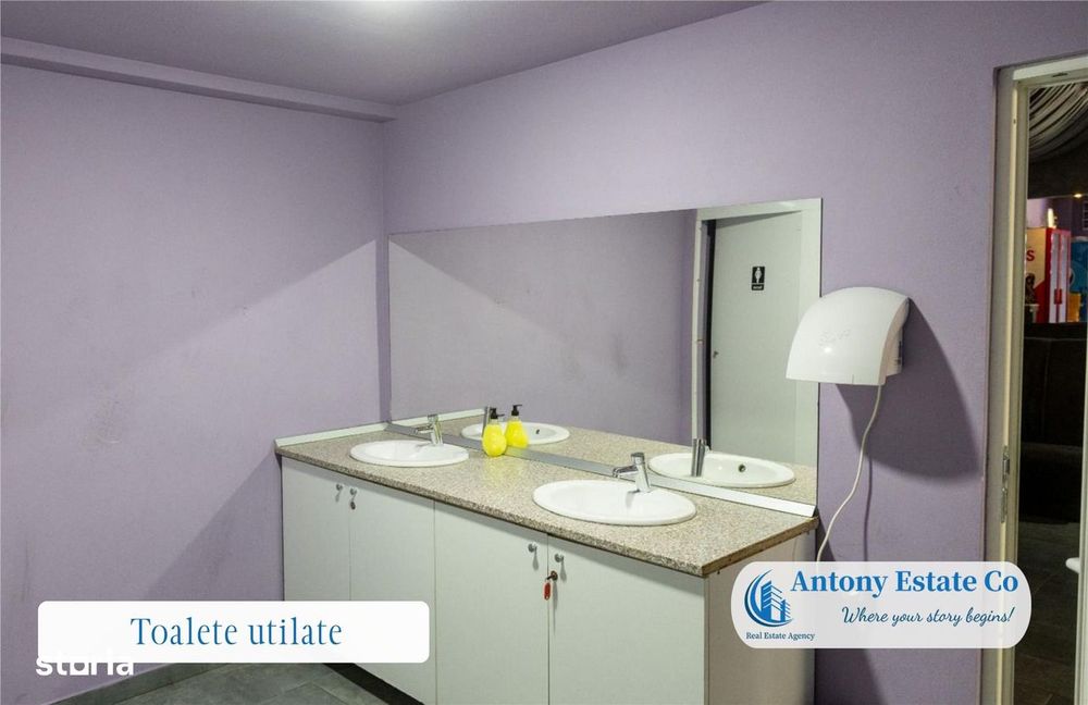 Oportunitate investitionala - Proprietate Ho.Re.Ca - Budureasa, Bihor