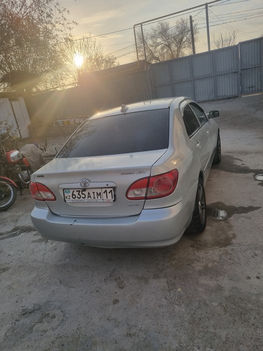 Машина тойота королла