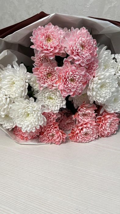 Цветы хризантема
