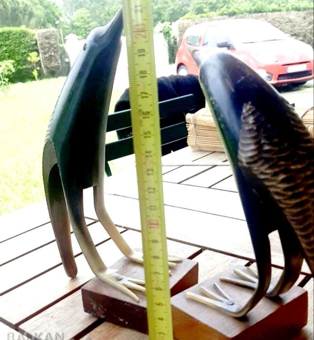 Скулптури от естествен рог