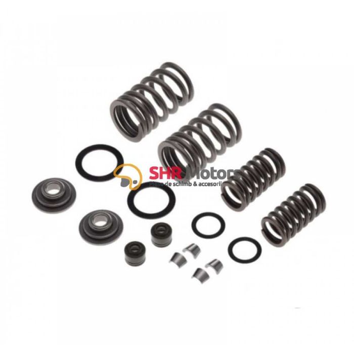 Bendix/Supape/Patine scuter Piaggio Fly