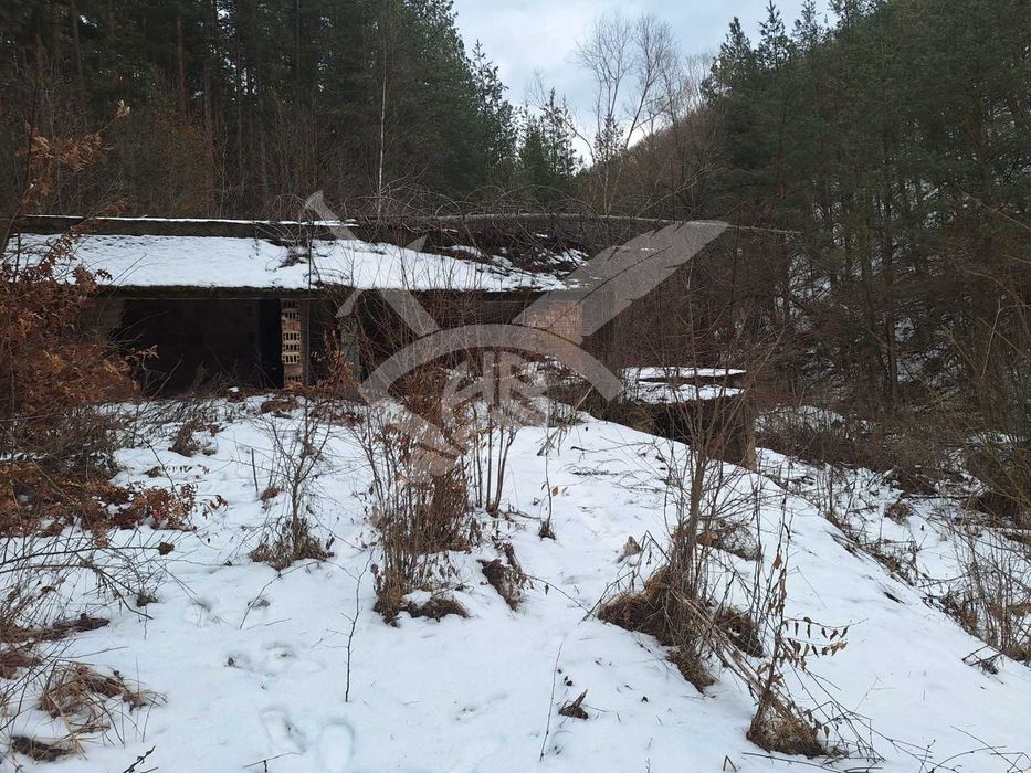 Парцел в село Царичина № 97986