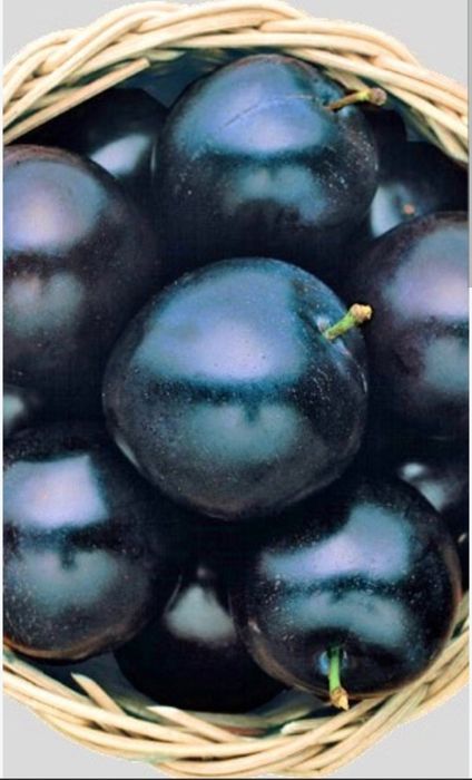 Қара өрік (Слива чёрная) кг: 300₸
