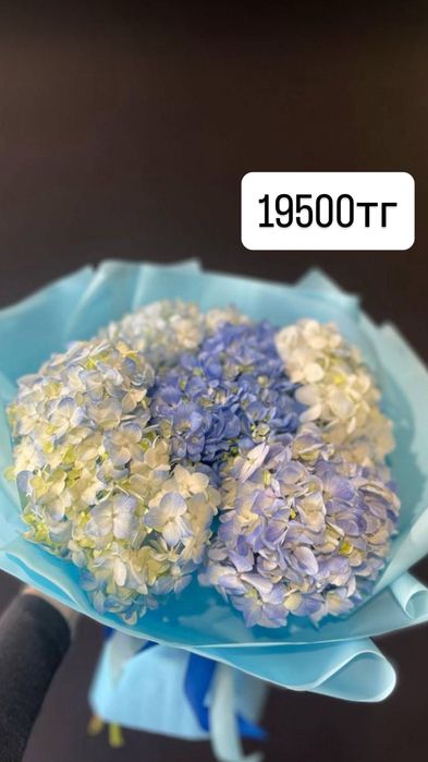 Цветы розы букеты