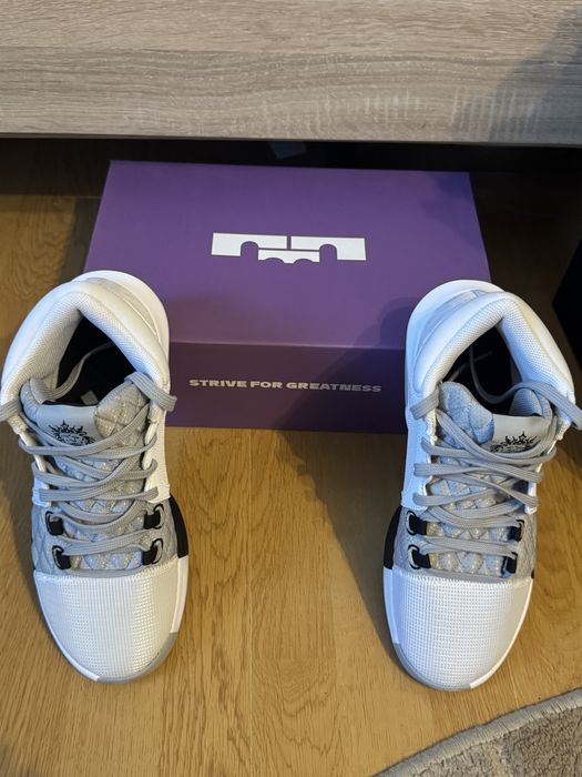 Adidasi Nike Lebron Witness 8