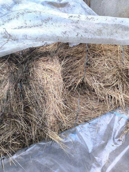 Fân și otavă de vanzare