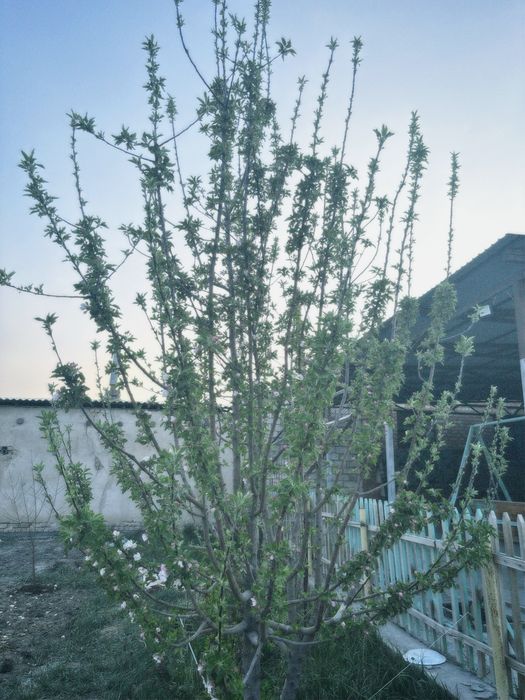 СРОЧНО!!Үй сатылады