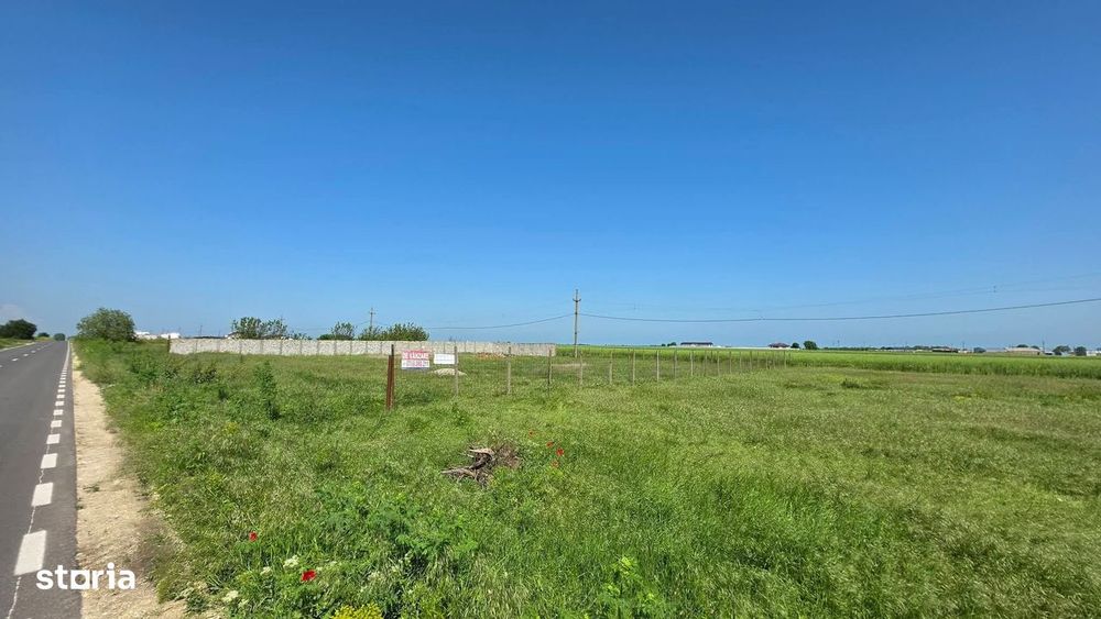 Teren extravilan 2000 mp – deschidere 44 ml la DN – Movilița