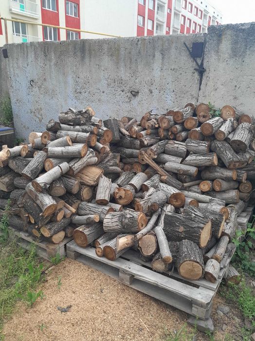 дрова разных пород