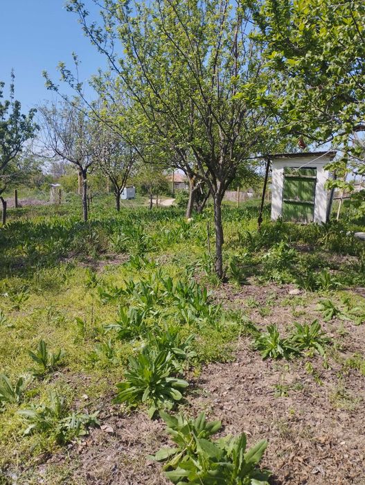 Продава се Къща в с. Осен, Област Силистра - 150 кв.м за 143 €/кв.м - Снимка #17