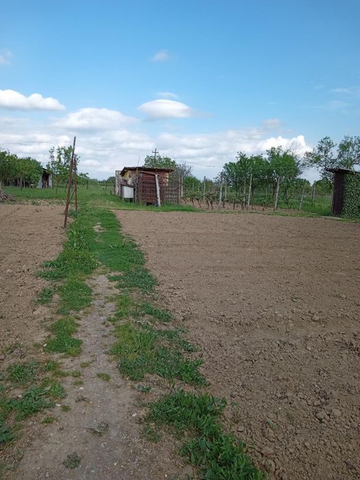 Vand casa in Sabolciu