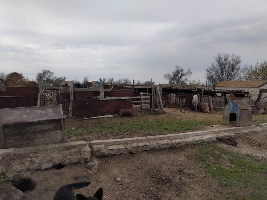 Продается дом в поселке