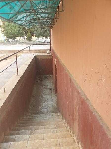 Xizmat ko`rsatish bino