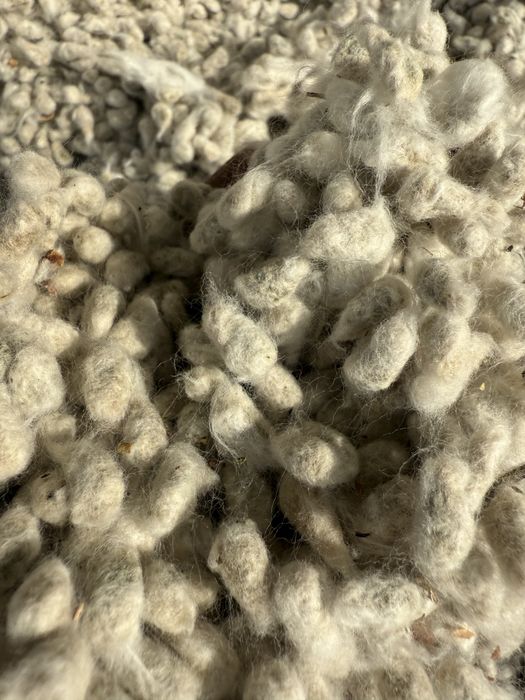 Мақта шиті, семена хлопка (хлопковая семечка)!