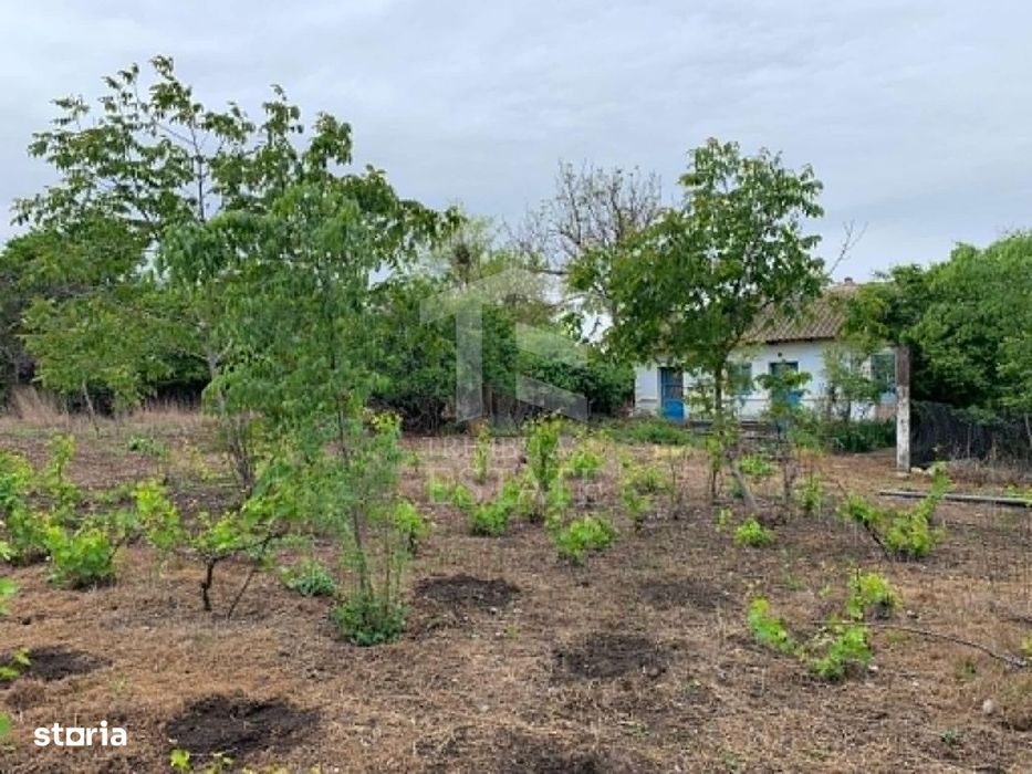 Teren intravilan 2562mp Loc 23 August | Ideal locuiță sau casă vacanță