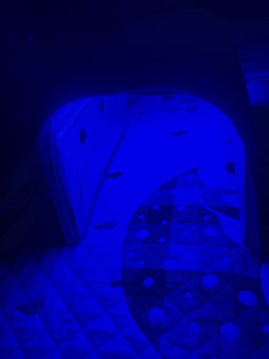 Лампа от желтухи