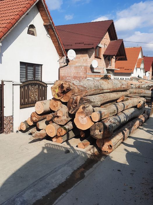 Vand lemn de foc fag