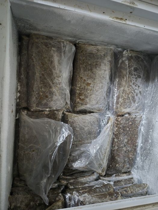 Фарш рыбный из карася