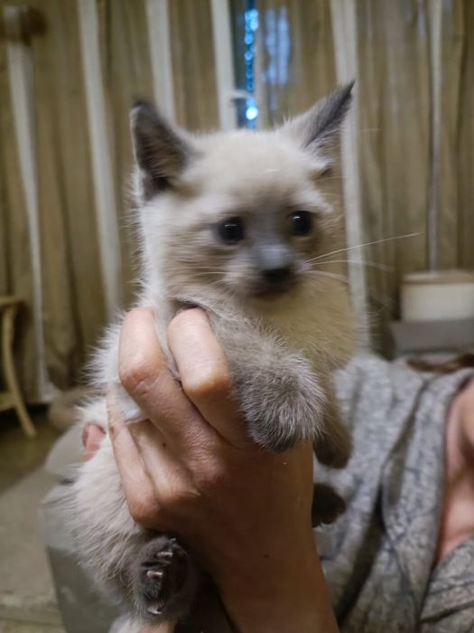 Девочка с характером ищет понимание!