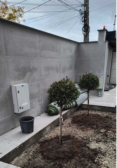 Gazon Artificial (Sintetic)