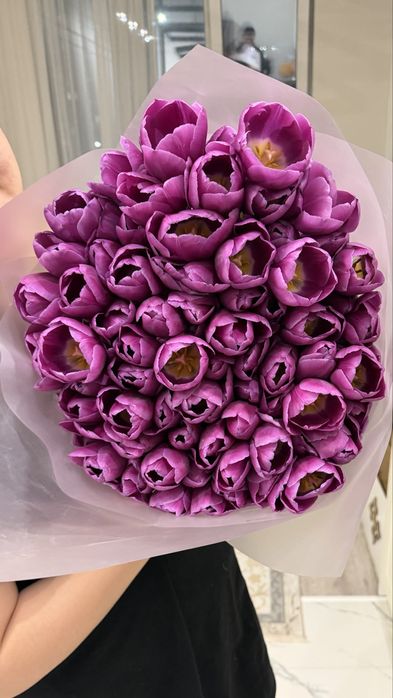 Тюлпаны 100 шт белорусские премуим