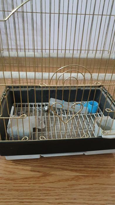 Клетка для попугаев