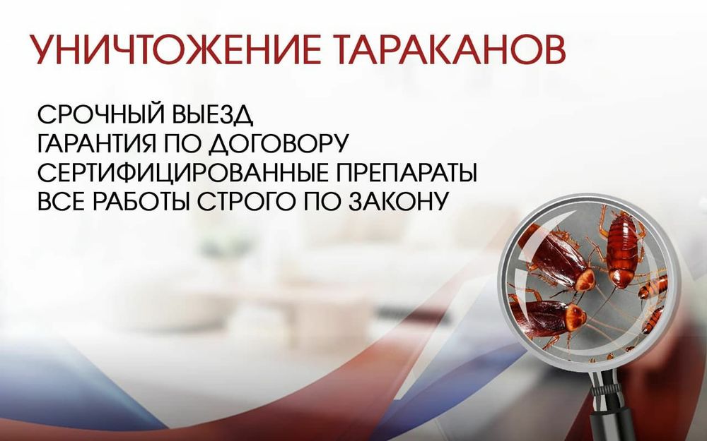 Качественная дезинфекция от тараканов и клопов.