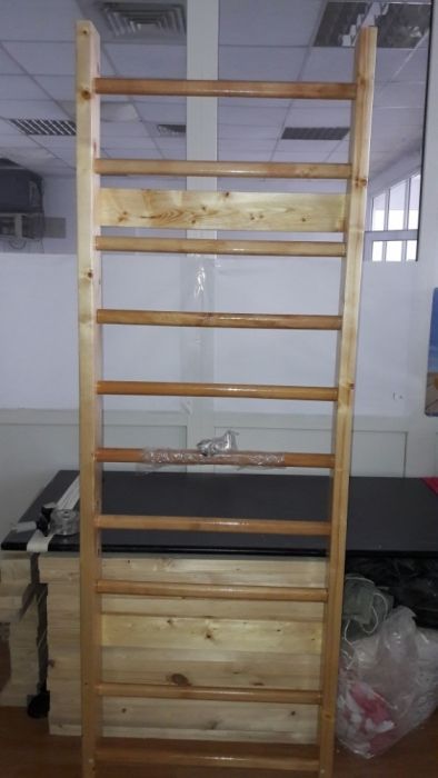 Spalier gimnastica 220/80 cm (10 trepte), lacuit