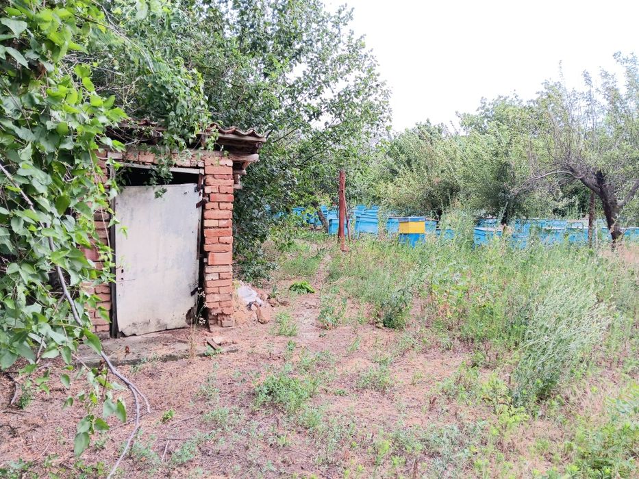 Продава се Парцел в с. Пелишат, Област Плевен - 1500 кв.м за 7 €/кв.м - Снимка #7