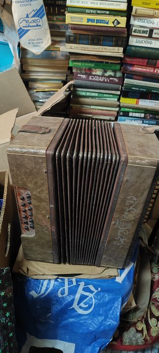 Музыкальный инструмент гармонь