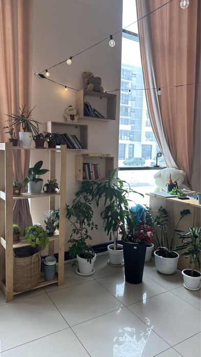 Продам цветочный магазин