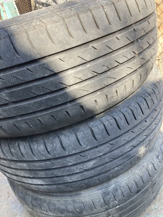 Жаздық дөңгелек NEXSEN