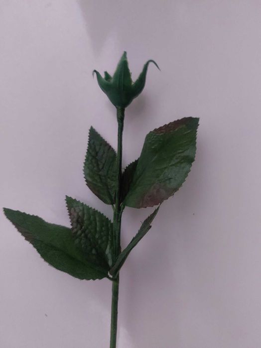 Продам стебли тюльпанов и роз