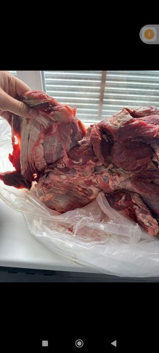 Говядина в брикетах