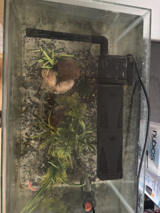 Vand Acvariu 40 litrii 250 lei