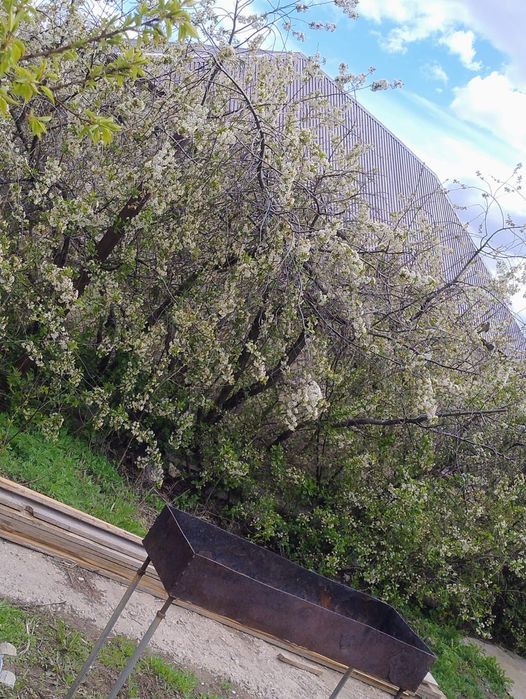 Продам большой дом