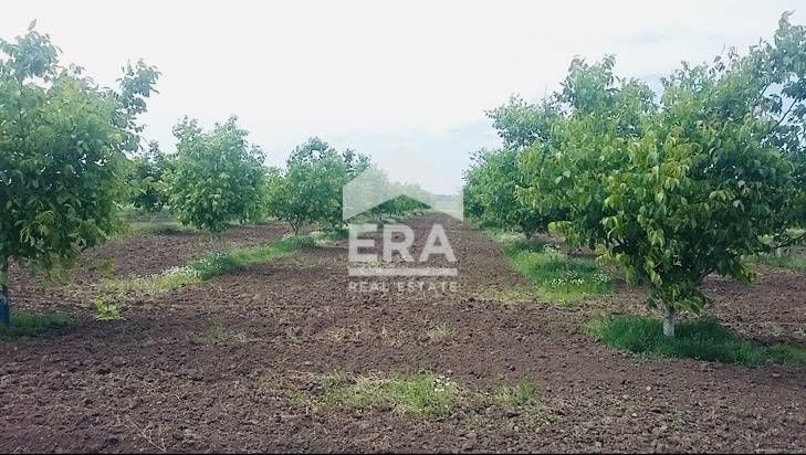 Продава се Земеделски имот в с. Семерджиево, Област Русе -  кв.м за 3 €/дка - Снимка #2